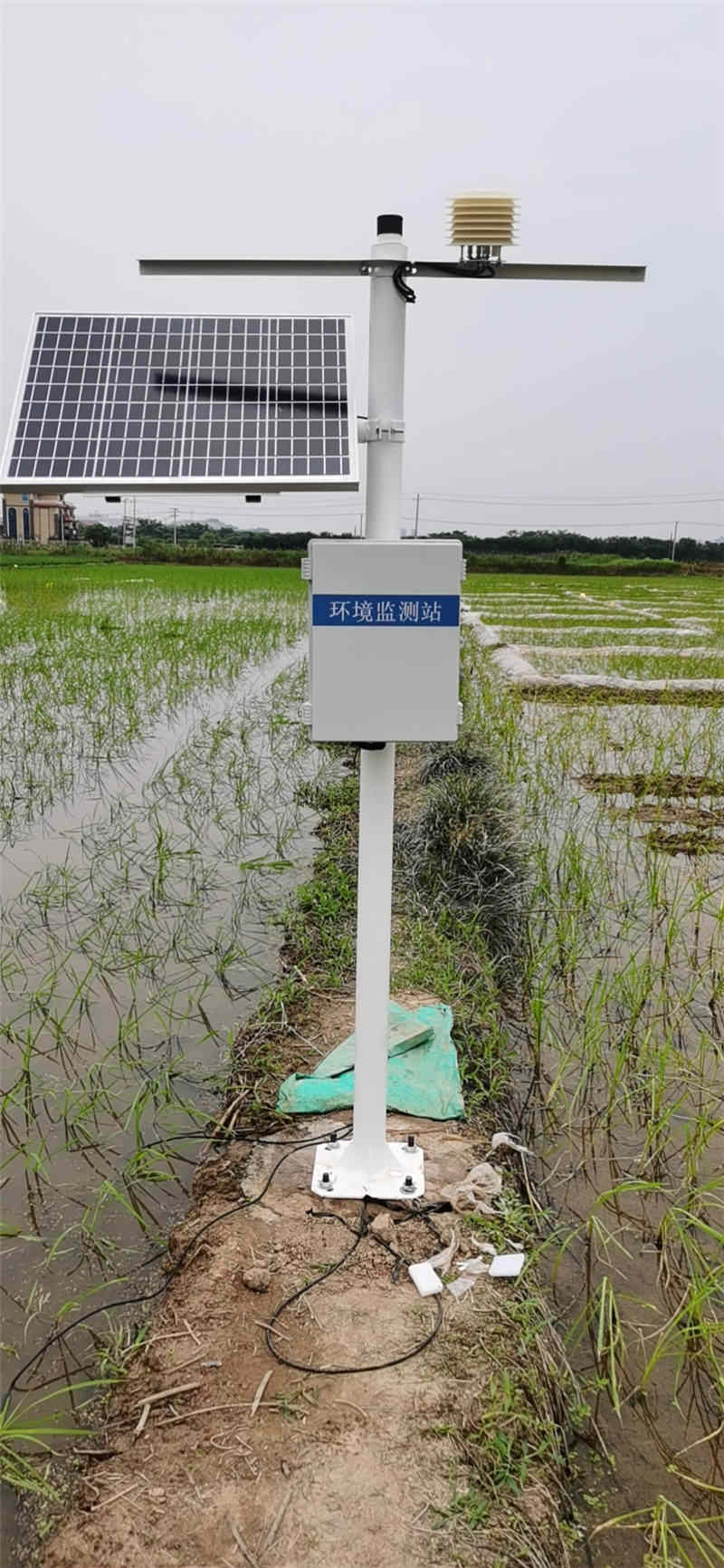 墑情監測站 (6).jpg